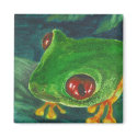 green tree frog magnets