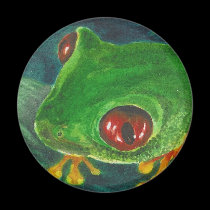 green tree frog magnets