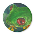 green tree frog magnets