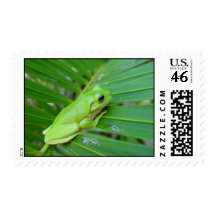 Green Tree Frog Stamps