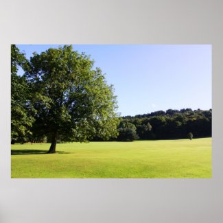 Green tree in a field poster