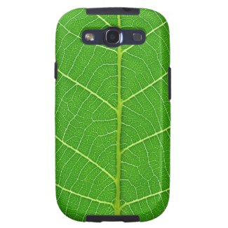 Green Tree Leaf Texture Pattern