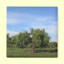 Green Tree magnets