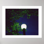 green tree posters