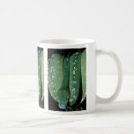 Green tree python, New Guinea Coffee Mug