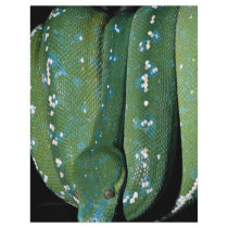 Green tree python, New Guinea Personalized Flyer