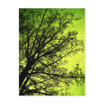 Green Tree Silhouette Art postcard postcards
