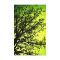 Green Tree Silhouette canvas print canvas prints