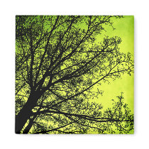 Green Tree Silhouette fridge magnet magnets