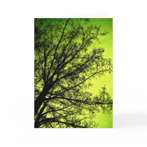 Green Tree Silhouette Greetings card cards