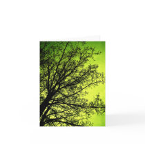 Green Tree Silhouette note card cards