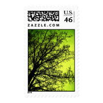 Green Tree Silhouette postage stamps stamps