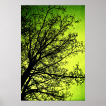 Green Tree Silhouette poster print posters
