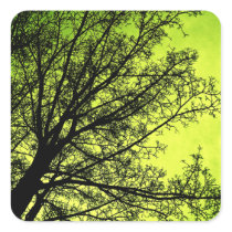 Green Tree Silhouette square stickers stickers