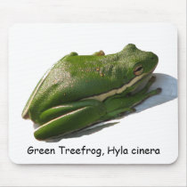 Green Treefrog, Hyla cinera mousepads