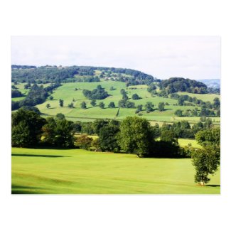 Green trees on hills postcard