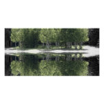 Green Trees Custom Photo Card