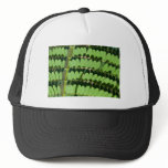 green trend trucker hats