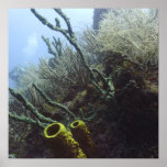 Green Tube Coral Scape Print