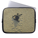 Green Turtle, (Chelonia mydas), hatchling Laptop Computer Sleeves