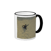 Green Turtle, (Chelonia mydas), hatchling Coffee Mugs
