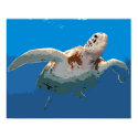 Green Turtle Woodcut posters