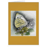 Green Veined White Butterfly Card