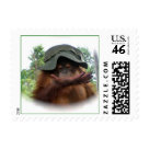  - This little orangutan toddler grabbed the old army hat off the caretaker day after day.  Wearing this hat  just made him so happy.  You can watch him on YouTube Orangutan on YouTube  : Sizes 