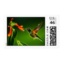 Green Violetear Hummingbird Stamp