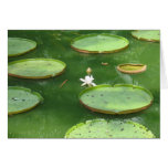 Green water lily greeting cards