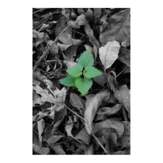 Green weed black and white print