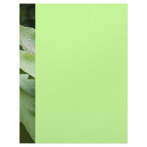Green wet leaves letterhead