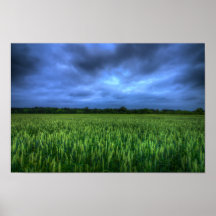 Green Wheat Field Poster