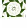 Green White Kaleidoscope Art 9