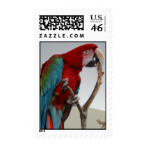 Green Winged Macaw postage