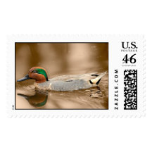 Green-Winged Teal Postage Stamps