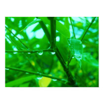 GREEN with drops posters