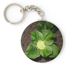 Green with Envy Keepsake Collection Key Chain
