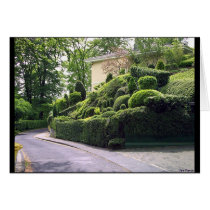 Green Yards Road cards
