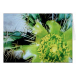 Green/Yellow Cactus Flower Cards