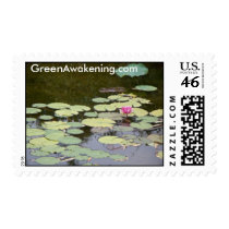 GreenAwakening.com stamps by GreenEarthCatalog GreenAwakening.com stamps