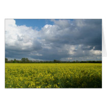 greenbelt landscape cards by mrpsiquedelico greenbelt landscape cards