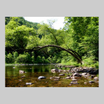 Greenbrier River, WV posters