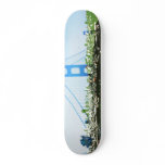 Greener City Skate Decks