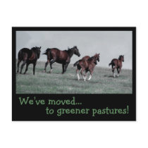 Greener Pastures... Postcards