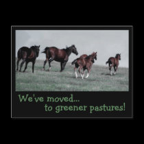 Greener Pastures... postcards