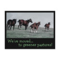 Greener Pastures... postcards