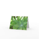 Greenery cards