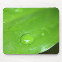 Greenery. mousepads by Acorns_tree Greenery. mousepads