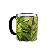 Greenery mugs by raephotos Greenery mugs